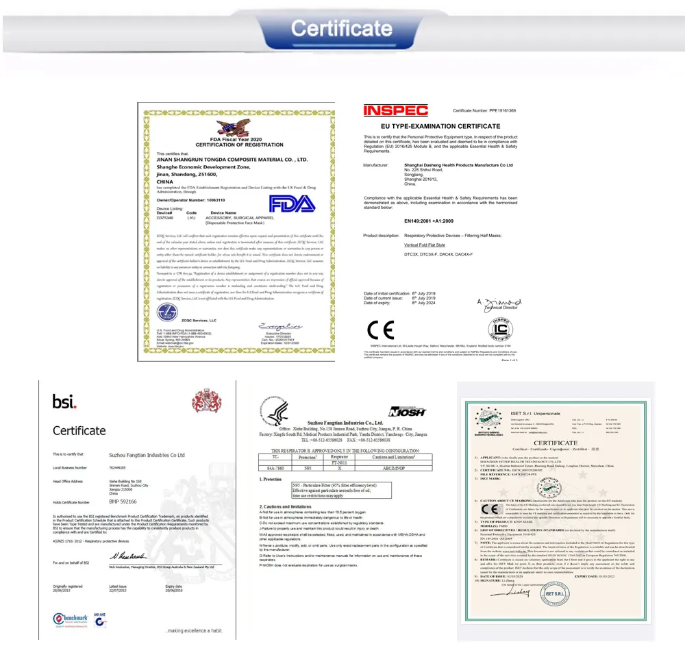 24 Hour Online CE0598 5ply High Filtration Protective Disposable FFP3 Nr Masks En149