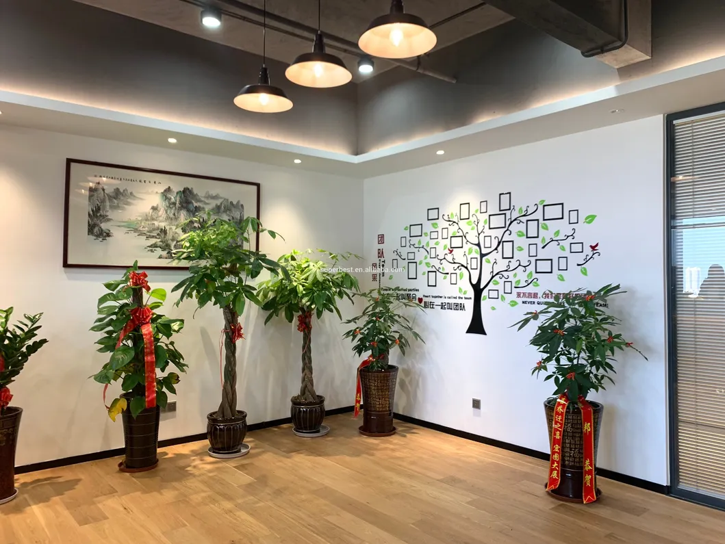 Anti Dust Protective Face Mask 3 Layer White/Blue