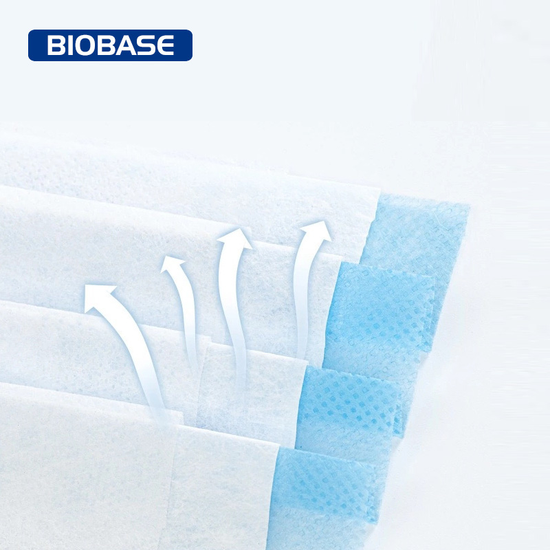Biobase High Quality Factory Direct Sale Disposable Face Mask