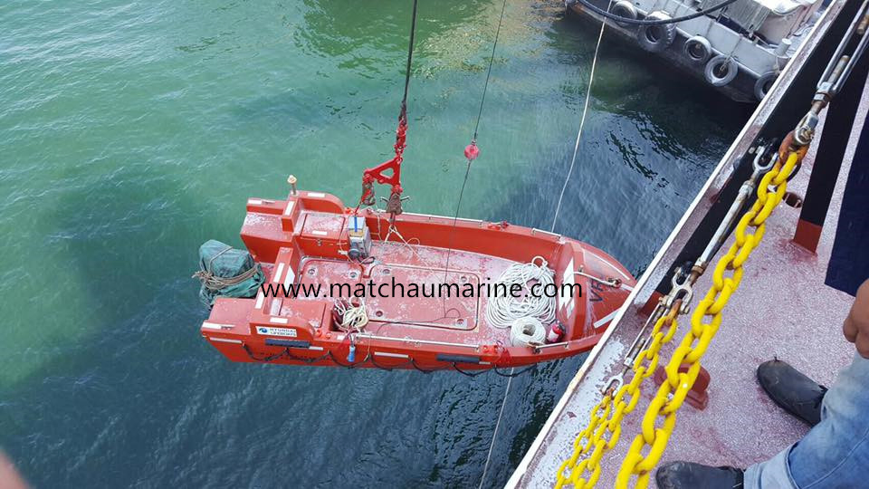 Electrical Hydraulic Single Arm Slewing Type Crane Boat Raft Davit