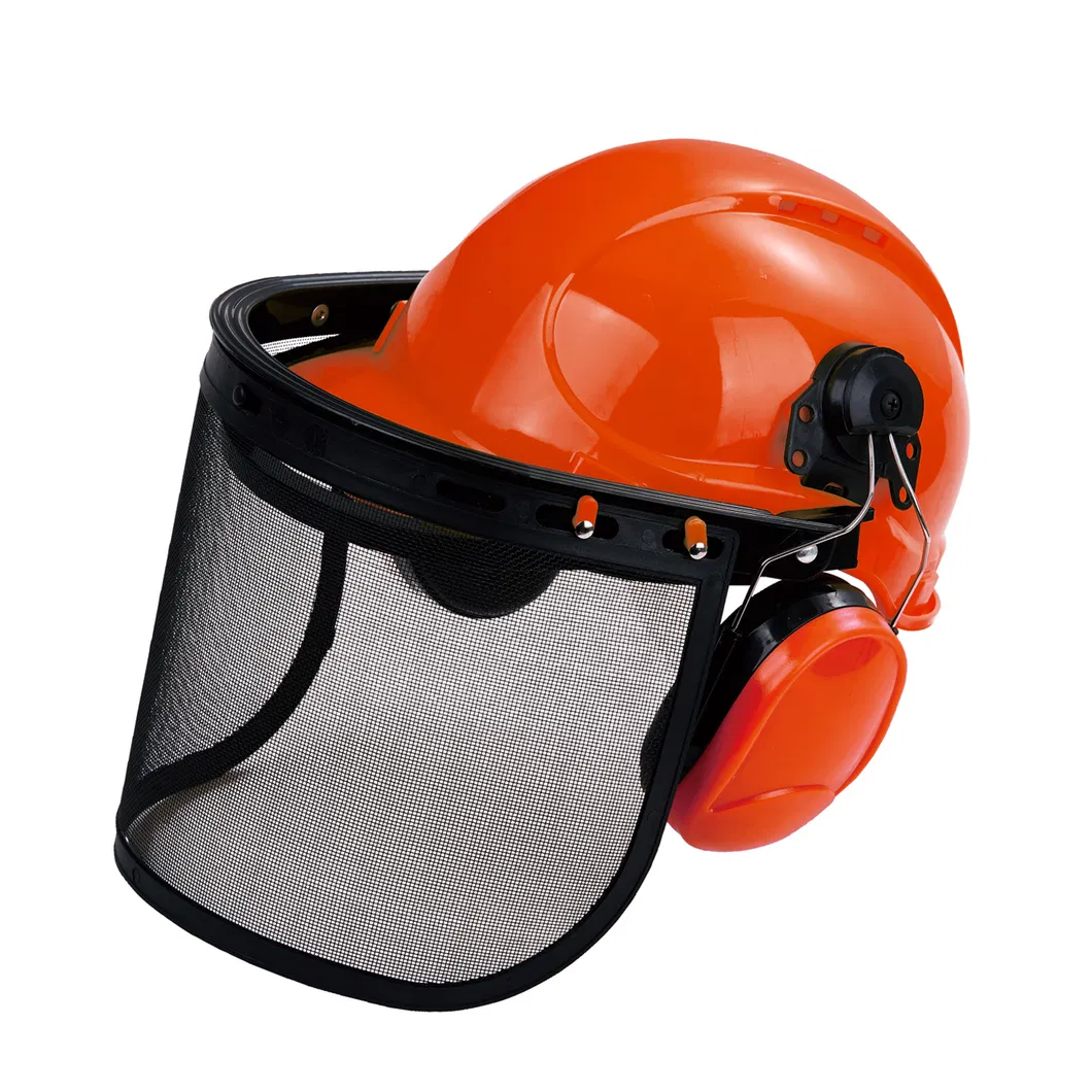Hve001 CE Standard Safety Helmet with Wire Mesh Face Shield and Earmuffs