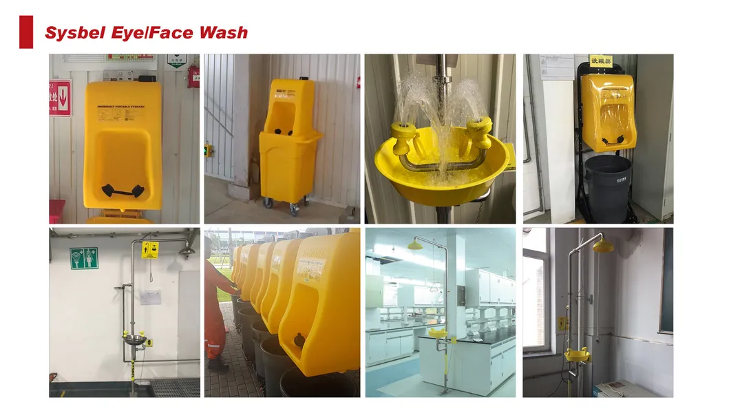 Portable Eyewash with Mobile Waste Cart (B) (WG6000BD)